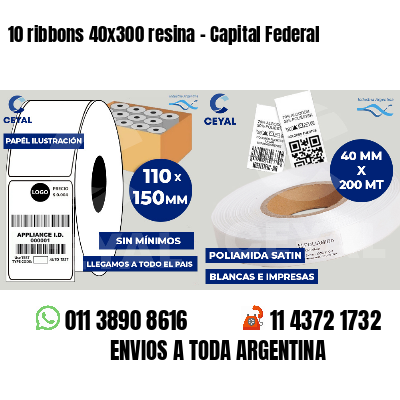 10 ribbons 40x300 resina - Capital Federal