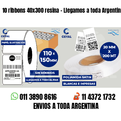 10 ribbons 40x300 resina - Llegamos a toda Argentina