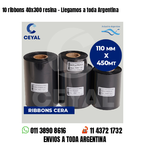 10 ribbons 40x300 resina - Llegamos a toda Argentina