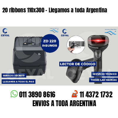 20 ribbons 110x300 - Llegamos a toda Argentina