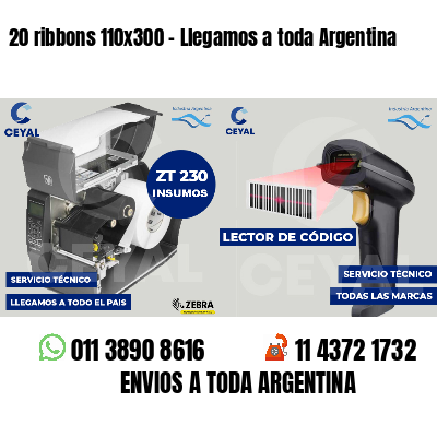 20 ribbons 110x300 - Llegamos a toda Argentina