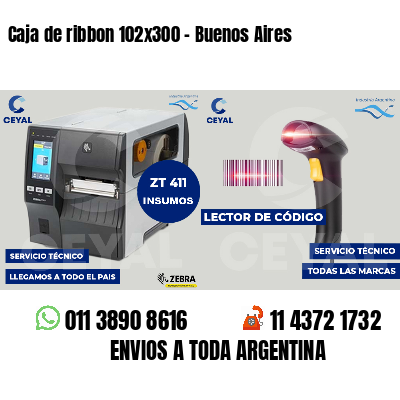 Caja de ribbon 102x300 - Buenos Aires