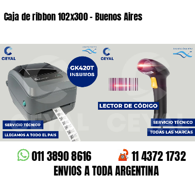 Caja de ribbon 102x300 - Buenos Aires