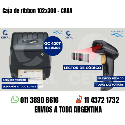 Caja de ribbon 102x300 - CABA