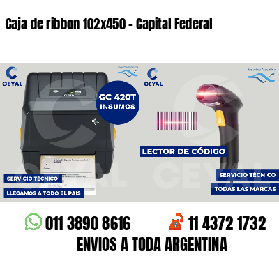 Caja de ribbon 102x450 - Capital Federal