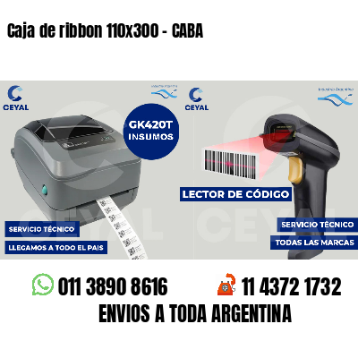 Caja de ribbon 110x300 - CABA