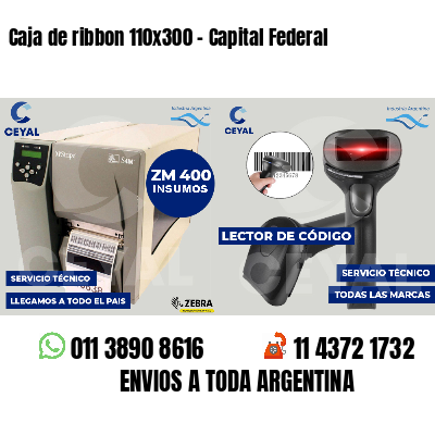 Caja de ribbon 110x300 - Capital Federal