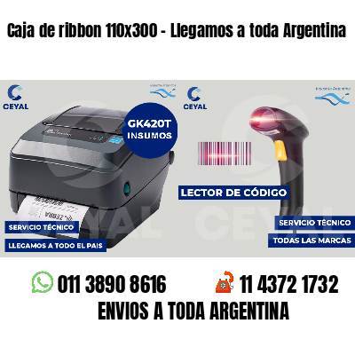 Caja de ribbon 110x300 - Llegamos a toda Argentina