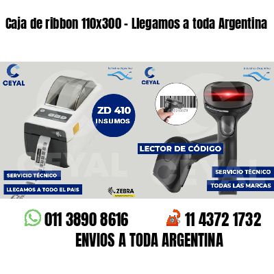 Caja de ribbon 110x300 - Llegamos a toda Argentina