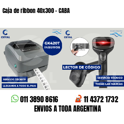 Caja de ribbon 40x300 - CABA