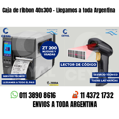 Caja de ribbon 40x300 - Llegamos a toda Argentina