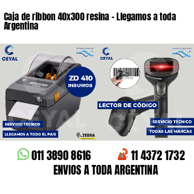 Caja de ribbon 40x300 resina - Llegamos a toda Argentina