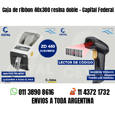 Caja de ribbon 40x300 resina doble - Capital Federal