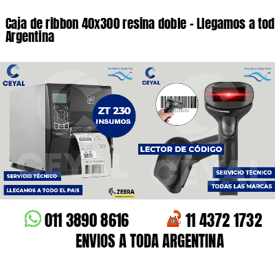 Caja de ribbon 40x300 resina doble - Llegamos a toda Argentina