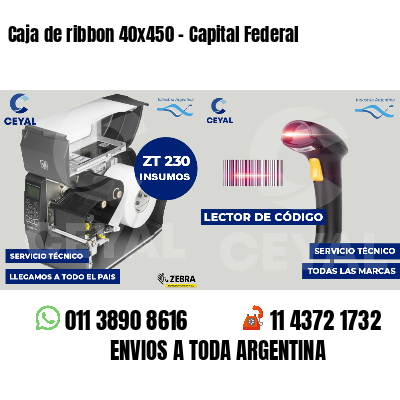 Caja de ribbon 40x450 - Capital Federal