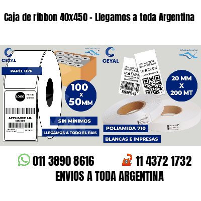 Caja de ribbon 40x450 - Llegamos a toda Argentina