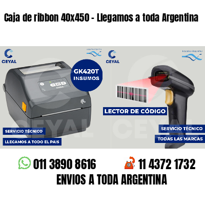 Caja de ribbon 40x450 - Llegamos a toda Argentina