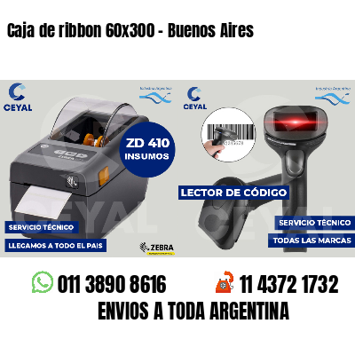 Caja de ribbon 60x300 - Buenos Aires