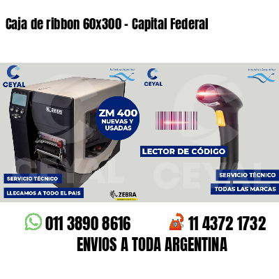 Caja de ribbon 60x300 - Capital Federal