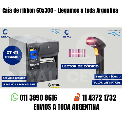 Caja de ribbon 60x300 - Llegamos a toda Argentina