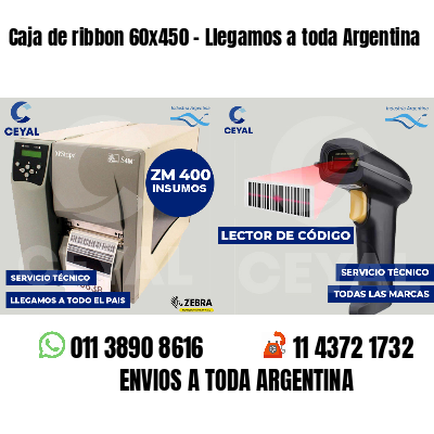 Caja de ribbon 60x450 - Llegamos a toda Argentina