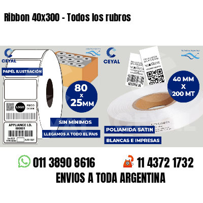 Ribbon 40x300 - Todos los rubros