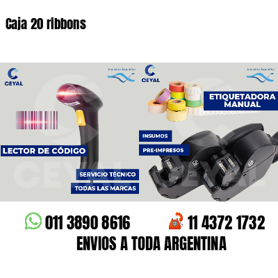 Caja 20 ribbons