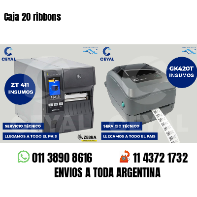 Caja 20 ribbons