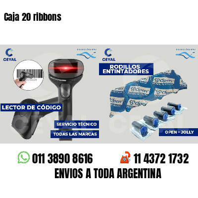 Caja 20 ribbons