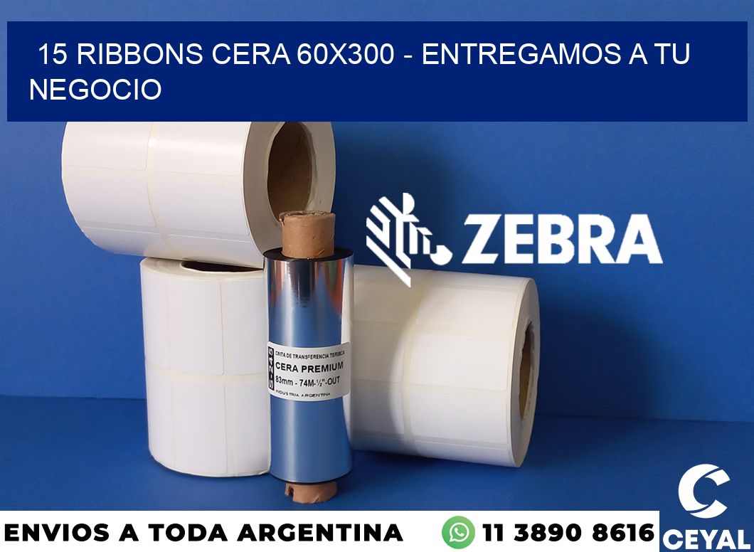 15 Ribbons cera 60x300 - entregamos a tu negocio