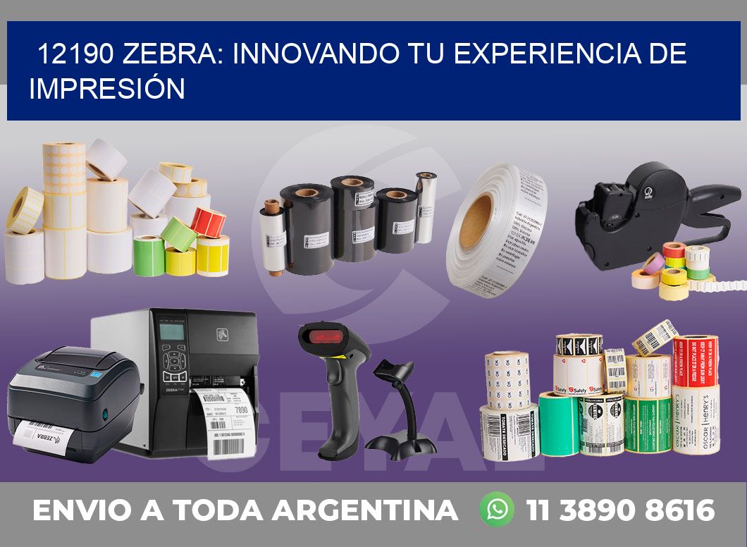 12190 ZEBRA: INNOVANDO TU EXPERIENCIA DE IMPRESIÓN