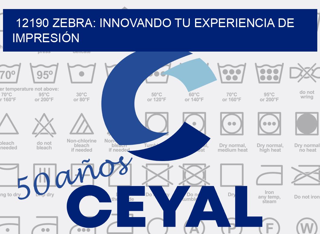 12190 ZEBRA: INNOVANDO TU EXPERIENCIA DE IMPRESIÓN