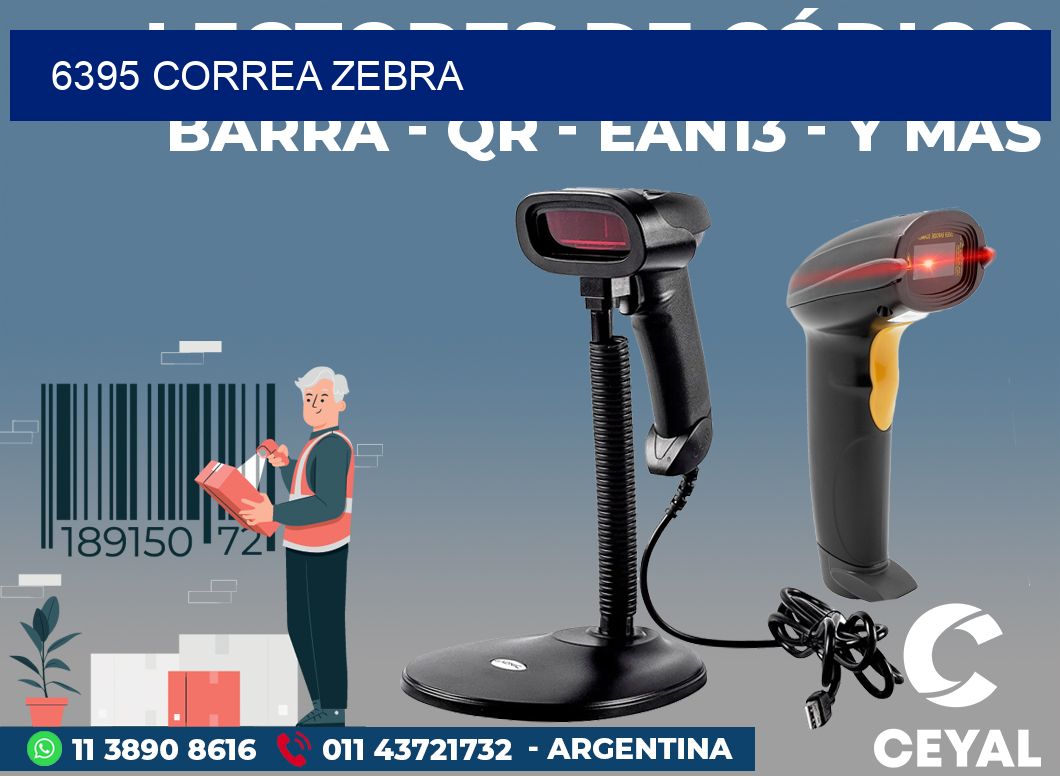 6395 CORREA ZEBRA