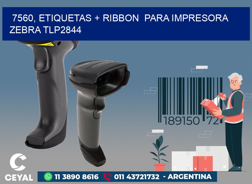 7560, etiquetas + ribbon  para impresora zebra TLP2844