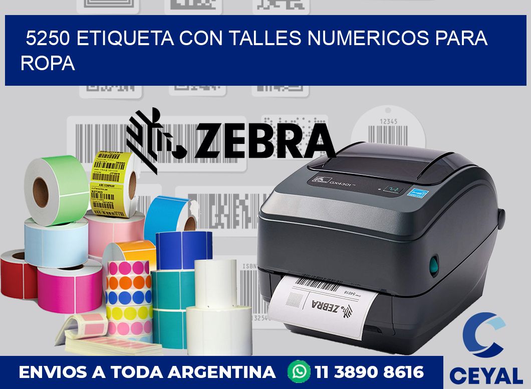 5250 ETIQUETA CON TALLES NUMERICOS PARA ROPA