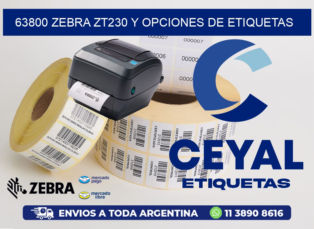 63800 Zebra ZT230 y Opciones de Etiquetas