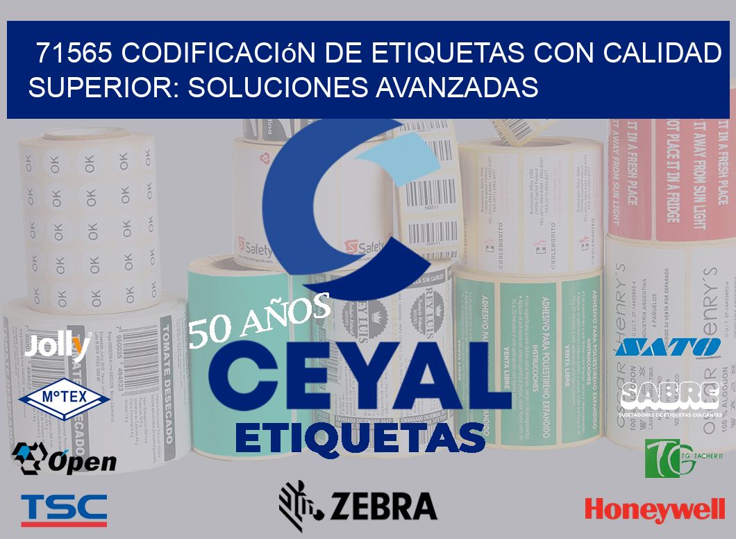 71565 Codificación de Etiquetas con Calidad Superior: Soluciones Avanzadas