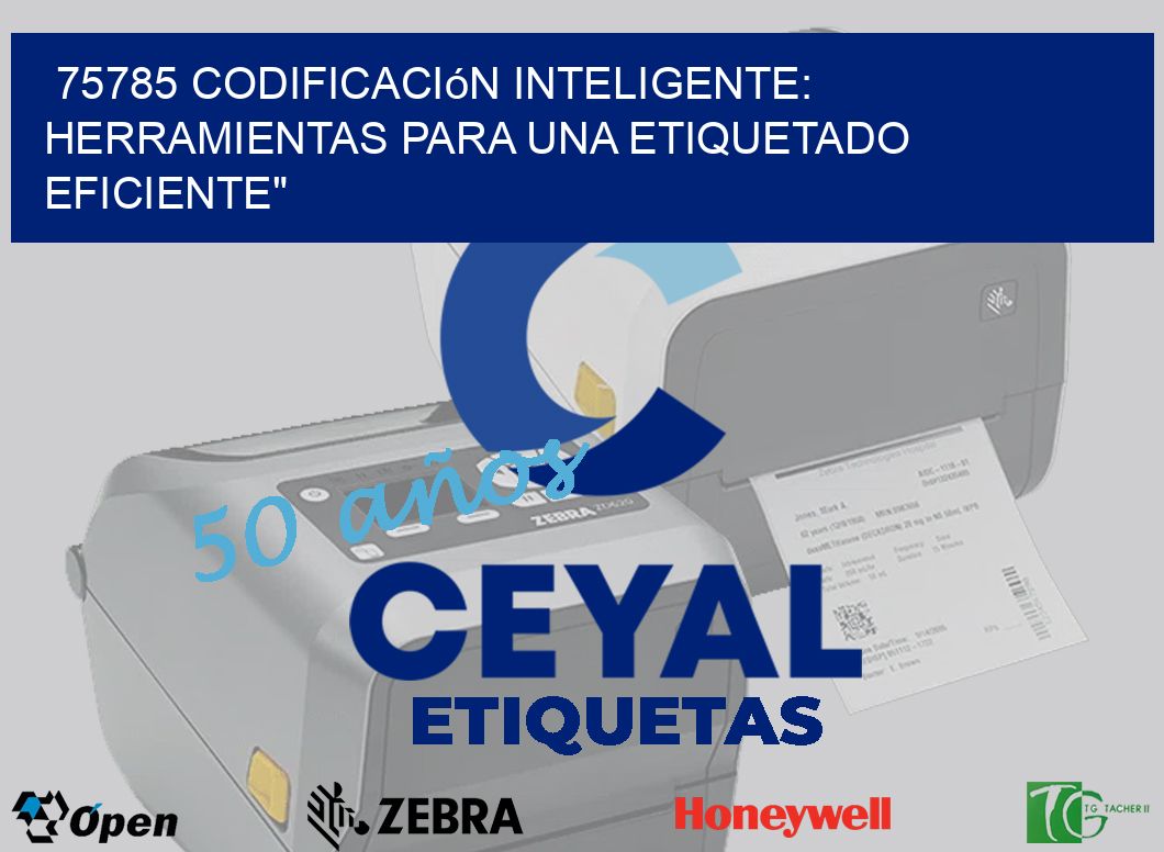 75785 Codificación Inteligente: Herramientas para una Etiquetado Eficiente