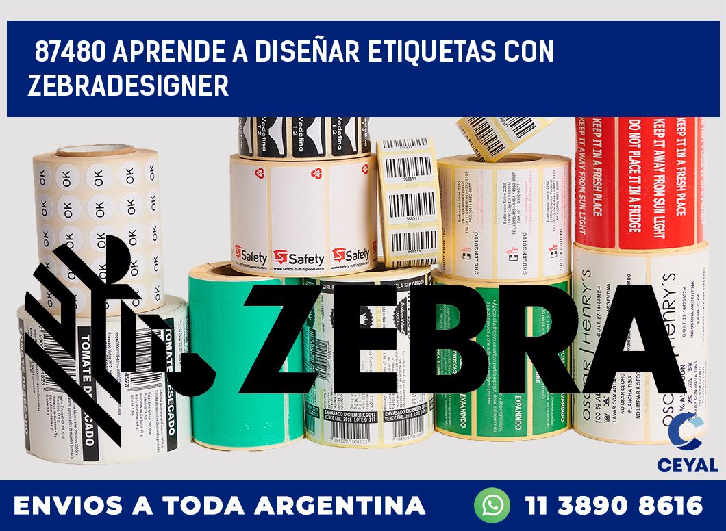 87480 APRENDE A DISEÑAR ETIQUETAS CON ZEBRADESIGNER