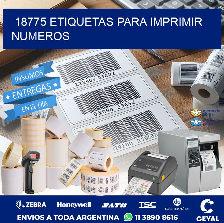 18775 ETIQUETAS PARA IMPRIMIR NUMEROS