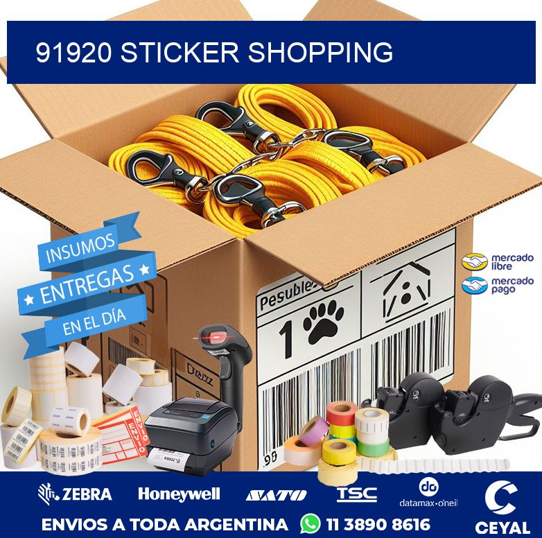 91920 STICKER SHOPPING