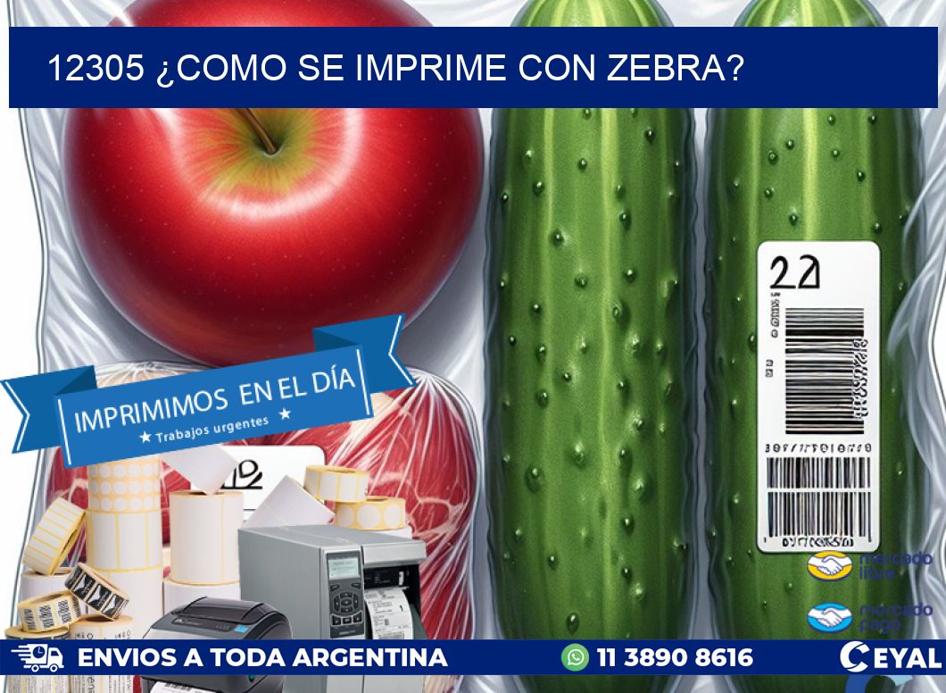 12305 ¿COMO SE IMPRIME CON ZEBRA?