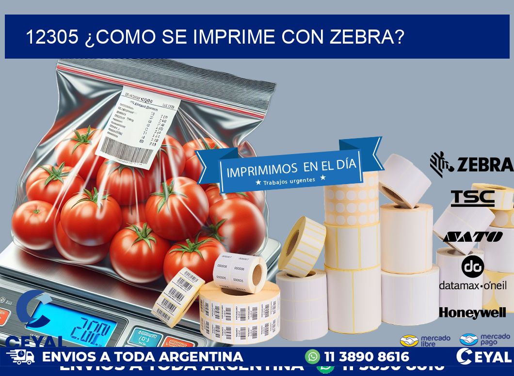 12305 ¿COMO SE IMPRIME CON ZEBRA?