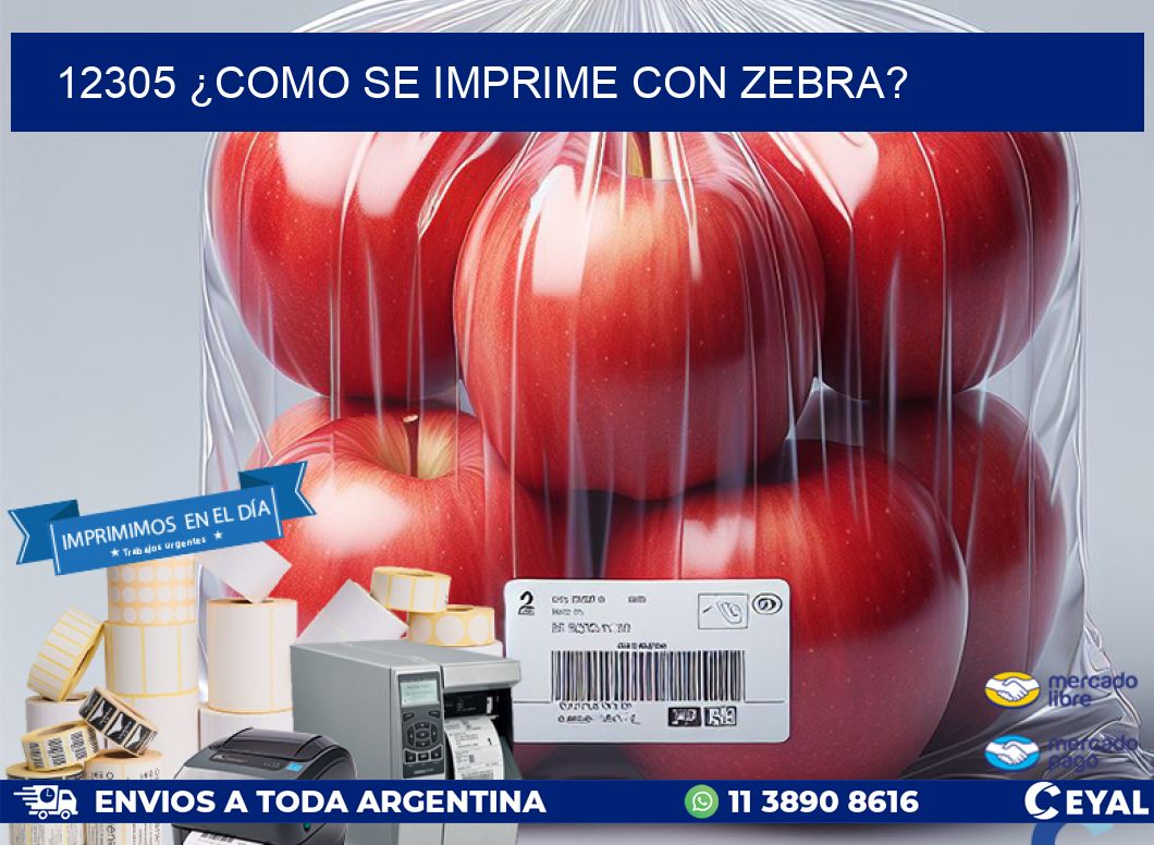 12305 ¿COMO SE IMPRIME CON ZEBRA?