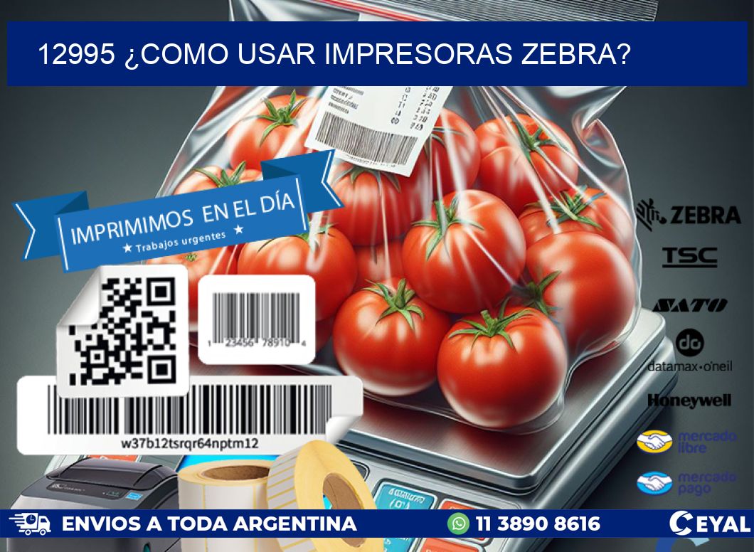 12995 ¿COMO USAR IMPRESORAS ZEBRA?