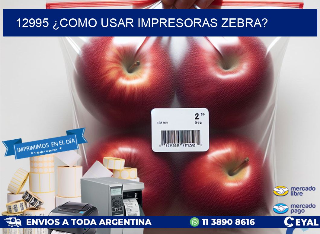 12995 ¿COMO USAR IMPRESORAS ZEBRA?