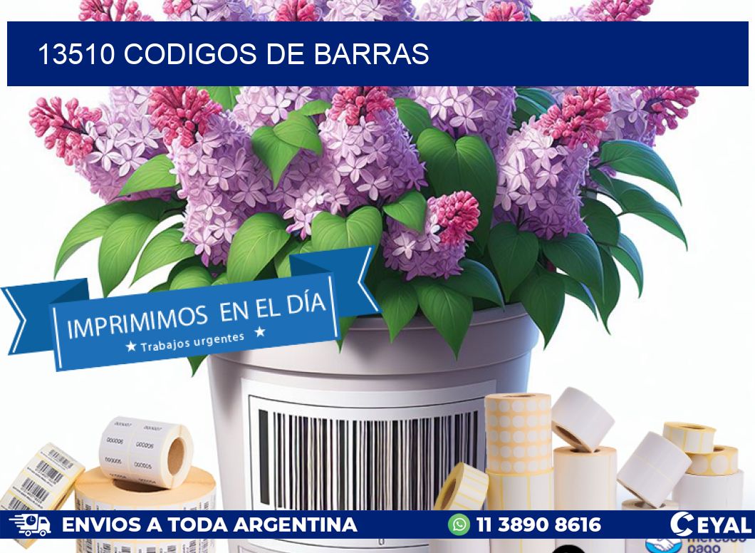 13510 codigos de barras