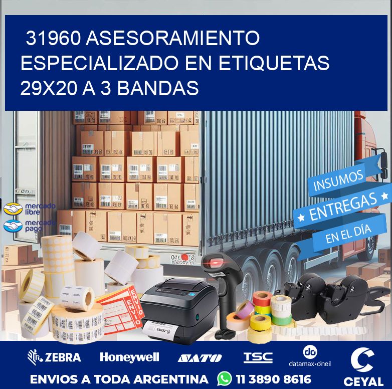 31960 ASESORAMIENTO ESPECIALIZADO EN ETIQUETAS 29X20 A 3 BANDAS