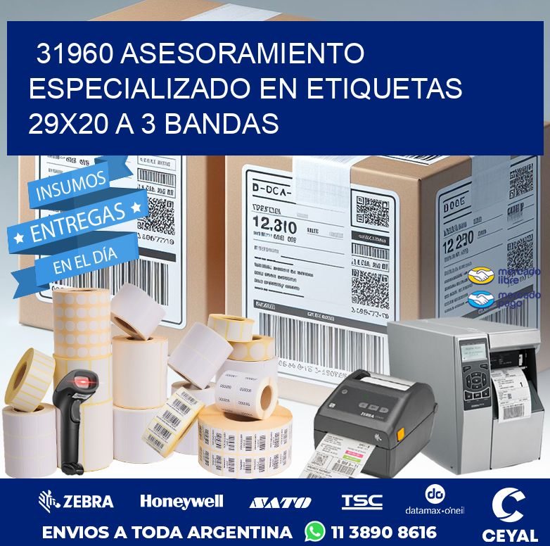 31960 ASESORAMIENTO ESPECIALIZADO EN ETIQUETAS 29X20 A 3 BANDAS