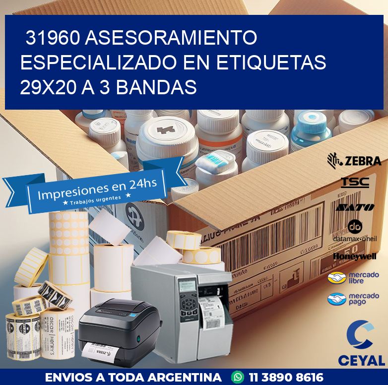 31960 ASESORAMIENTO ESPECIALIZADO EN ETIQUETAS 29X20 A 3 BANDAS